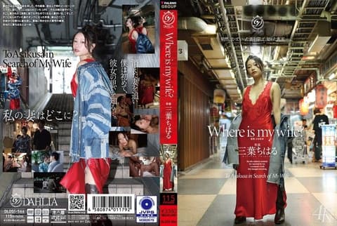 我的妻子在哪里？ 三叶ちはる DLDSS-566